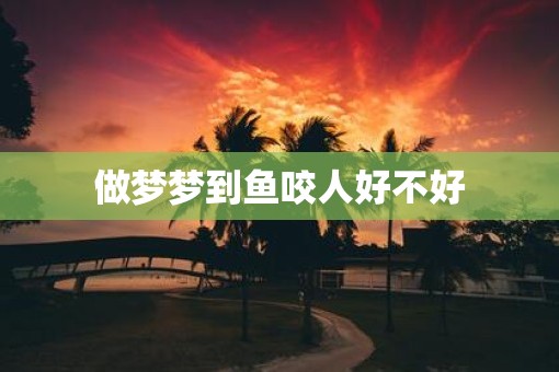 做梦梦到鱼咬人好不好