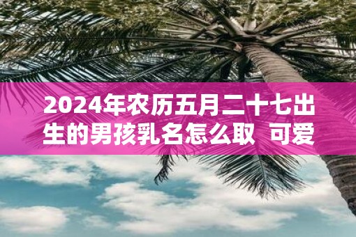 2025年农历五月二十七出生的男孩乳名怎么取  可爱洋气一些的乳名