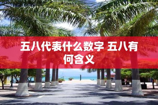 五八代表什么数字 五八有何含义