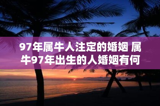 97年属牛人注定的婚姻 属牛97年出生的人婚姻有何特点