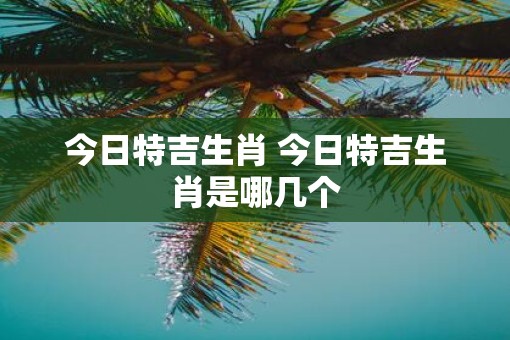 今日特吉生肖 今日特吉生肖是哪几个