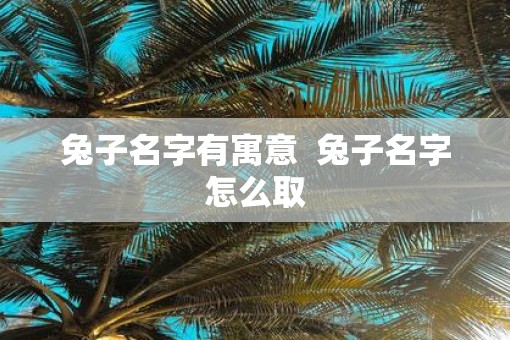 兔子名字有寓意 兔子名字怎么取 兔子名字有寓意 兔子名字怎么取