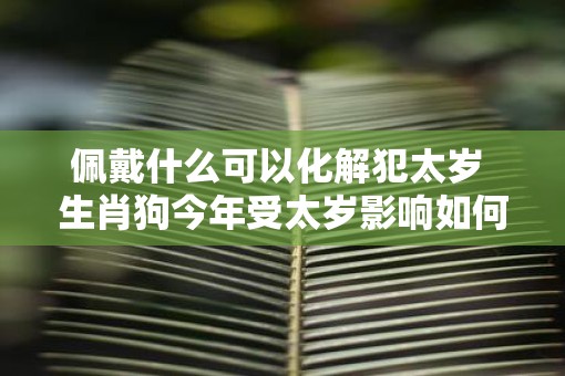 佩戴什么可以化解犯太岁 生肖狗今年受太岁影响如何