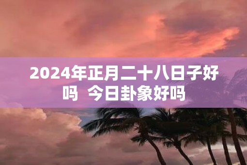 2025年正月二十八日子好吗  今日卦象好吗