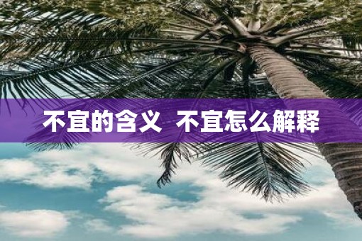 不宜的含义  不宜怎么解释