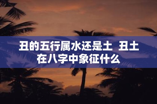 丑的五行属水还是土  丑土在八字中象征什么