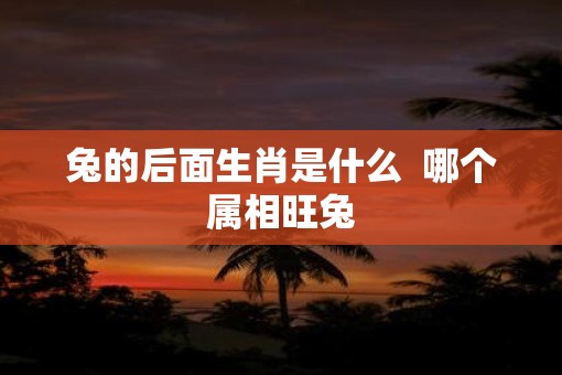 兔的后面生肖是什么  哪个属相旺兔