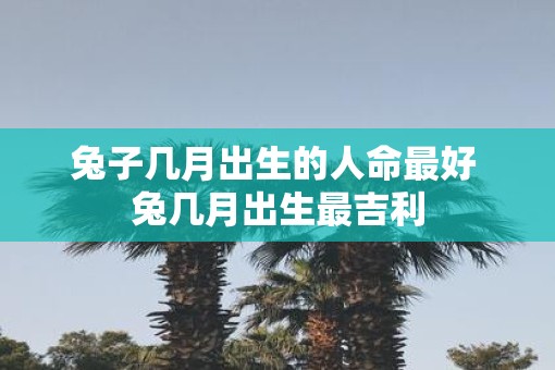 兔子几月出生的人命最好 兔几月出生最吉利