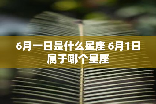 6月一日是什么星座 6月1日属于哪个星座
