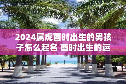 2025属虎酉时出生的男孩子怎么起名 酉时出生的运气怎么样