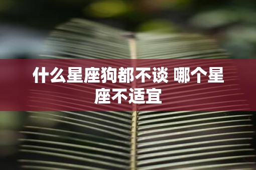 什么星座狗都不谈 哪个星座不适宜