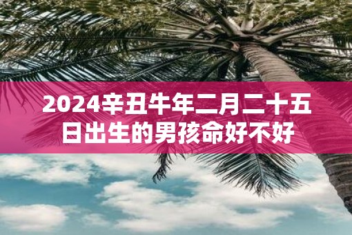 2025辛丑牛年二月二十五日出生的男孩命好不好
