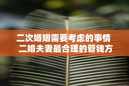 二次婚姻需要考虑的事情  二婚夫妻最合理的管钱方法