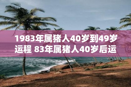 1983年属猪人40岁到49岁运程 83年属猪人40岁后运气好吗