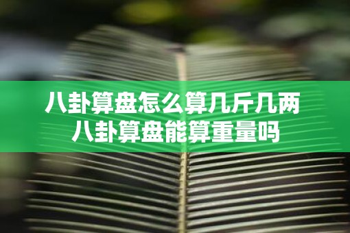 八卦算盘怎么算几斤几两 八卦算盘能算重量吗