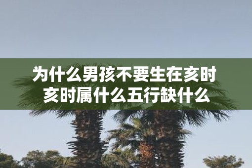为什么男孩不要生在亥时 亥时属什么五行缺什么