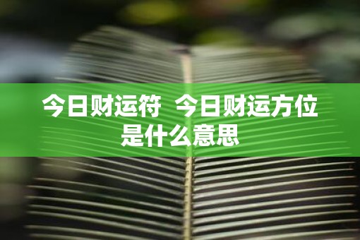 今日财运符  今日财运方位是什么意思