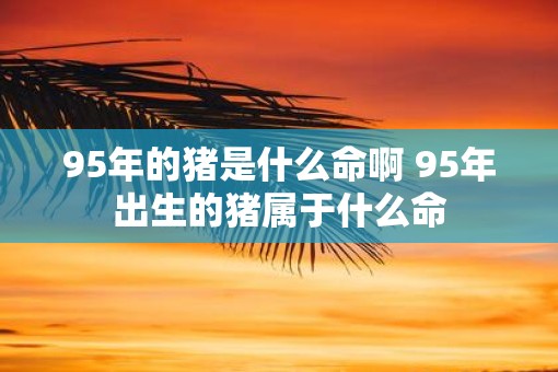 95年的猪是什么命啊 95年出生的猪属于什么命