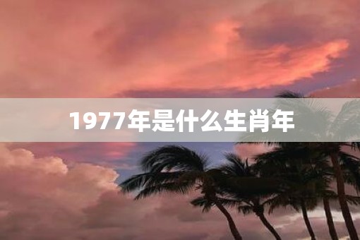1977年是什么生肖年