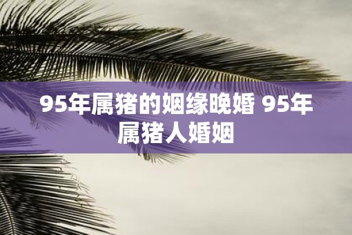 95年属猪的姻缘晚婚 95年属猪人婚姻