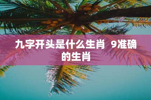 九字开头是什么生肖  9准确的生肖