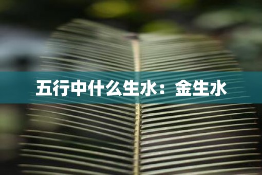 五行中什么生水:金生水 五行中什么生水:金生水