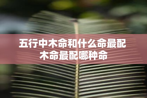 五行中木命和什么命最配 木命最配哪种命
