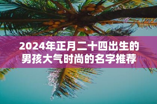 2025年正月二十四出生的男孩大气时尚的名字推荐