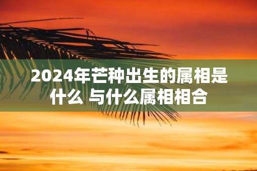 2025年芒种出生的属相是什么 与什么属相相合