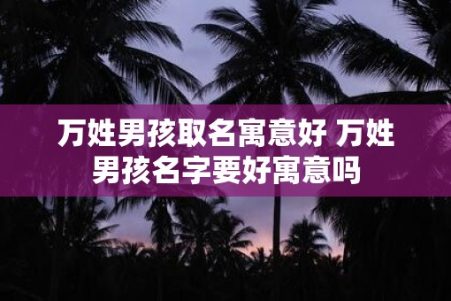 万姓男孩取名寓意好 万姓男孩名字要好寓意吗