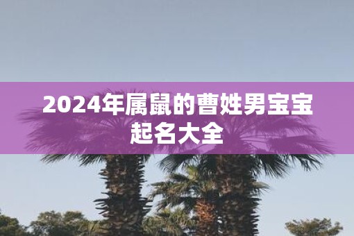 2025年属鼠的曹姓男宝宝起名大全