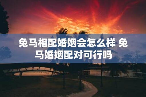 兔马相配婚姻会怎么样 兔马婚姻配对可行吗