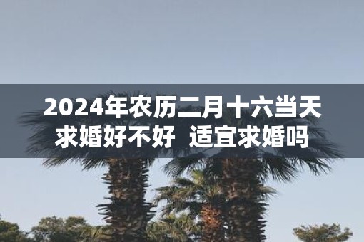 2025年农历二月十六当天求婚好不好  适宜求婚吗