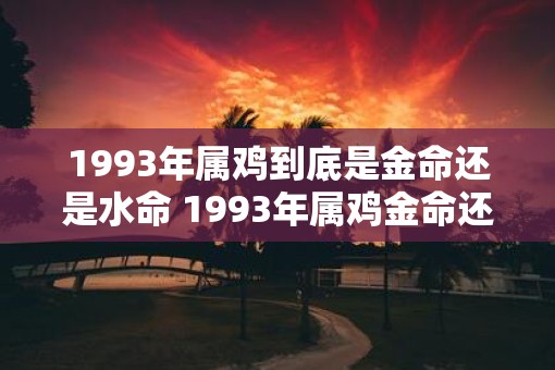 1993年属鸡到底是金命还是水命 1993年属鸡金命还是水命