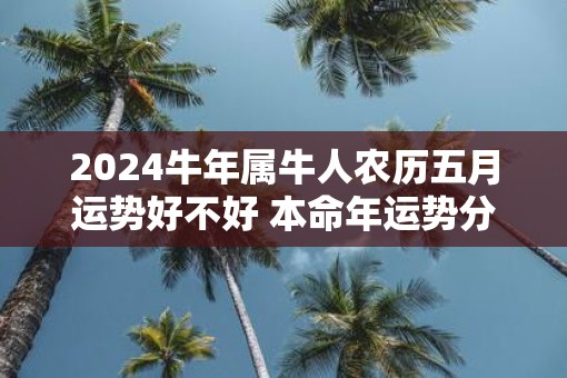 2025牛年属牛人农历五月运势好不好 本命年运势分析