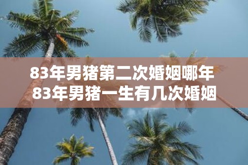 83年男猪第二次婚姻哪年 83年男猪一生有几次婚姻