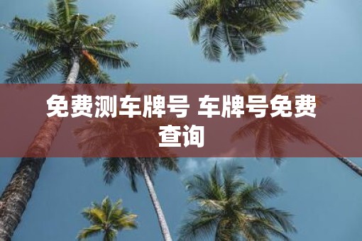 免费测车牌号 车牌号免费查询