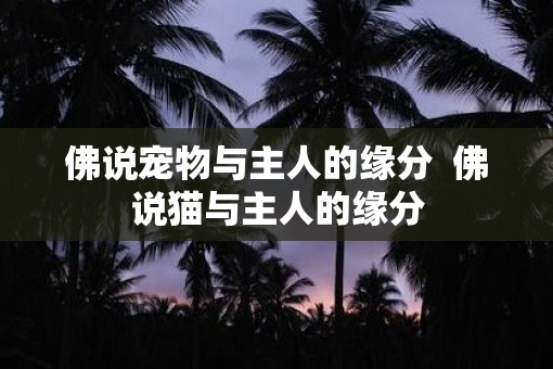 佛说宠物与主人的缘分  佛说猫与主人的缘分