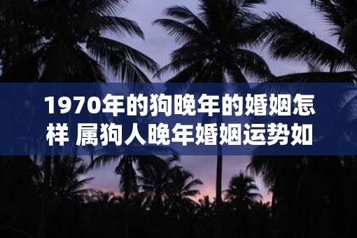 1970年的狗晚年的婚姻怎样 属狗人晚年婚姻运势如何