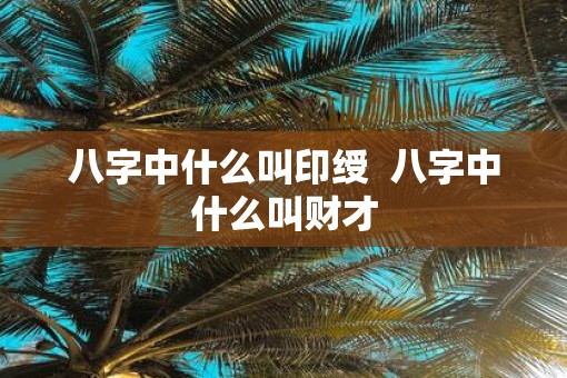 八字中什么叫印绶  八字中什么叫财才