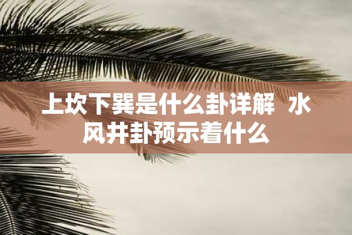 上坎下巽是什么卦详解  水风井卦预示着什么