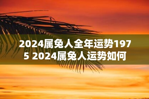 2025属兔人全年运势1975 2025属兔人运势如何