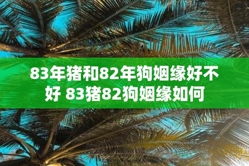 83年猪和82年狗姻缘好不好 83猪82狗姻缘如何