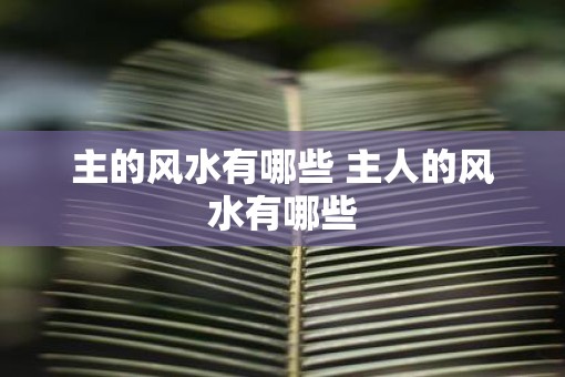 主的风水有哪些 主人的风水有哪些