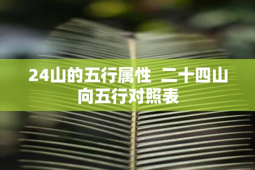 24山的五行属性  二十四山向五行对照表