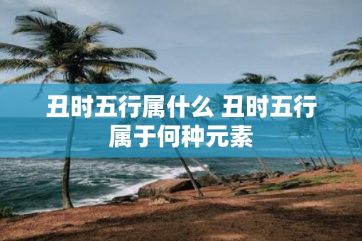 丑时五行属什么 丑时五行属于何种元素