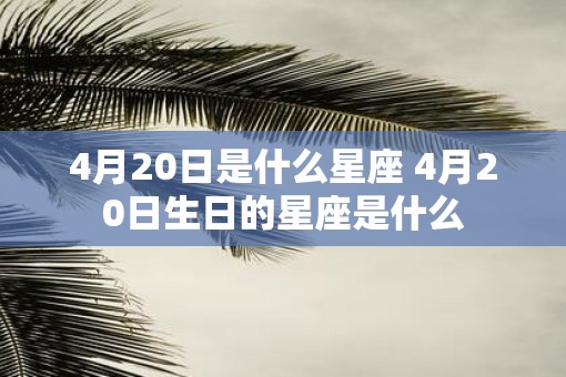 4月20日是什么星座 4月20日生日的星座是什么 4月20日是什么星座 4月20日生日的星座是什么