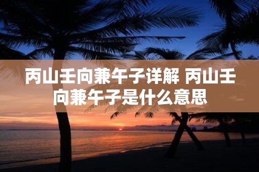 丙山壬向兼午子详解 丙山壬向兼午子是什么意思