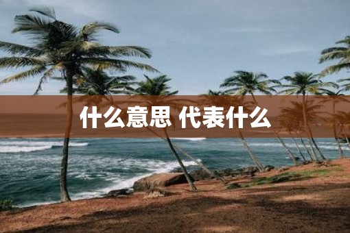 什么意思 代表什么