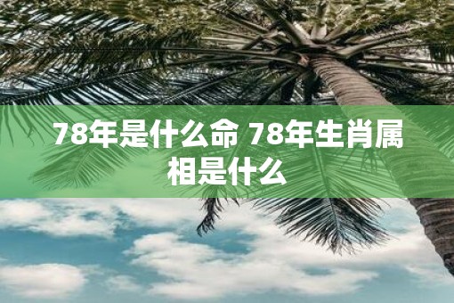 78年是什么命 78年生肖属相是什么